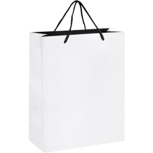 Altitude Dazzle Midi Paper Gift Bag Solid White Unbranded